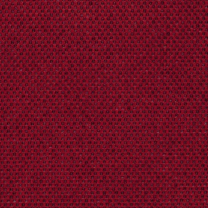 Pegasus 46J5361 by JF Designer Fabric WINNING WEAVES 100% Polyester Turkey 75000 Horizontal: and Vertical: 55 - Swanky Fabrics -
