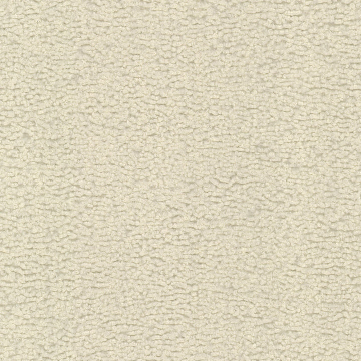 Pelage 1 Ivory by Stout Designer Fabric RAINBOW LIBRARY EGGSHELL/SANDSTONE 100%POL CHINA Horizontal: 0.000 and Vertical: 0.000 54 in - Swanky Fabrics -