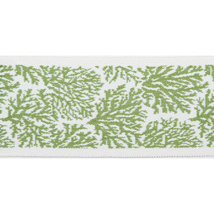 Pergola Coral Tape Lime by Europatex Designer Fabric
