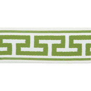 Pergola Embroidered Tape Lime by Europatex Designer Fabric