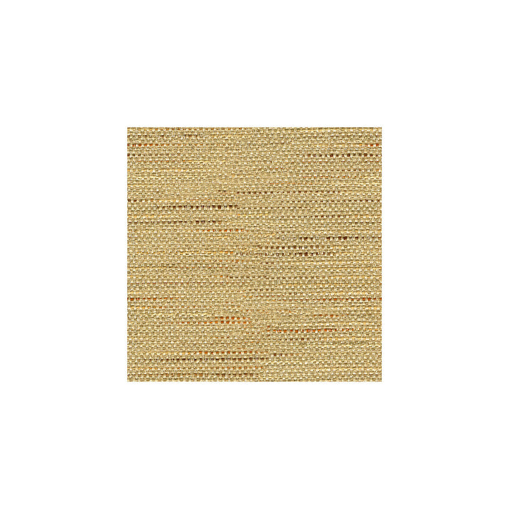 Satara Camel by Baker Lifestyle Designer Fabric ECHO HEIRLOOM INDIA POLYESTER - 80%;COTTON - 20% China HEAVY Horizontal: and Vertical: 56 - Swanky Fabrics -