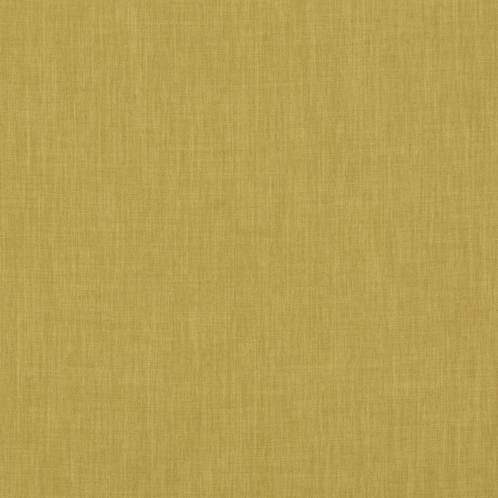 Fernshaw Citrus by Baker Lifestyle Designer Fabric NOTEBOOKS POLYESTER - 100% China HEAVY Horizontal: and Vertical: 55.16 - Swanky Fabrics -