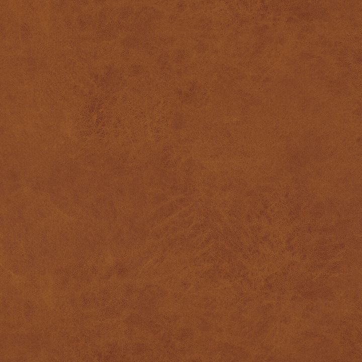 Lexham Amber by Baker Lifestyle Fabric Baker Lifestyle Fabric Lexham AmberFabric NOTEBOOKS POLYESTER - 100% China </p><p>Repeat: H: , V: 55.16 - Fabric Carolina -