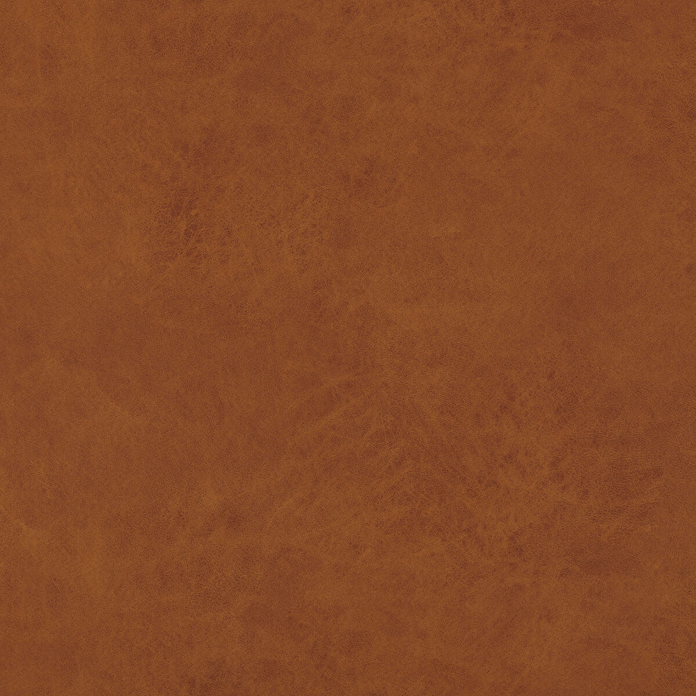 Lexham Amber by Baker Lifestyle Designer Fabric NOTEBOOKS POLYESTER - 100% China HEAVY Horizontal: and Vertical: 55.16 - Swanky Fabrics -