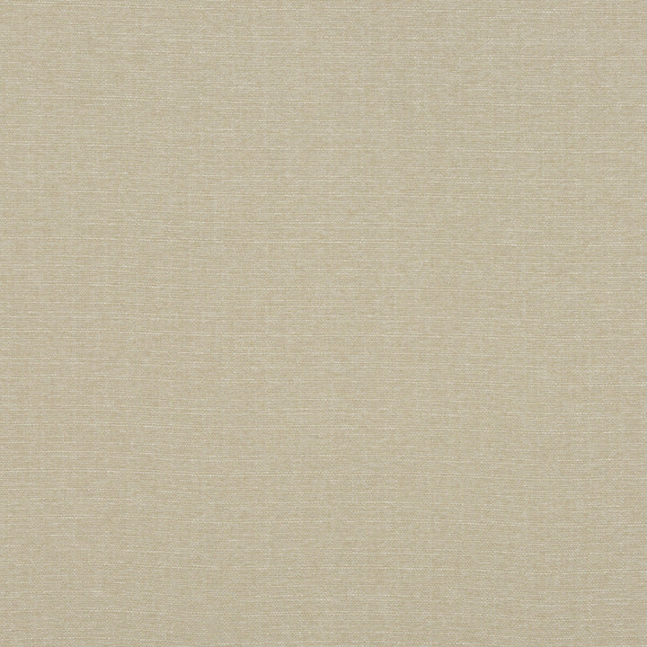 Lansdowne Buff by Baker Lifestyle Designer Fabric NOTEBOOKS POLYESTER - 100% China HEAVY Horizontal: and Vertical: 55.16 - Swanky Fabrics -