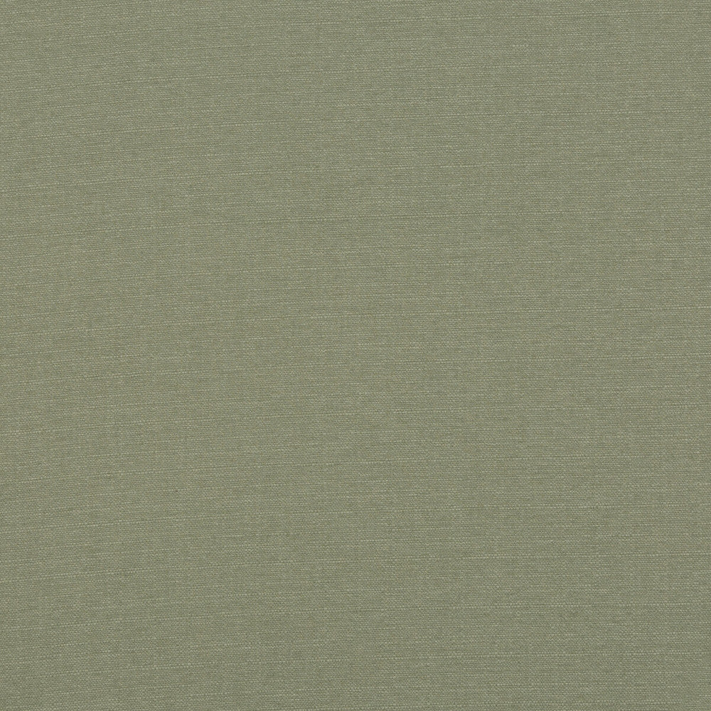 Lansdowne Fern by Baker Lifestyle Designer Fabric NOTEBOOKS POLYESTER - 100% China HEAVY Horizontal: and Vertical: 55.16 - Swanky Fabrics -