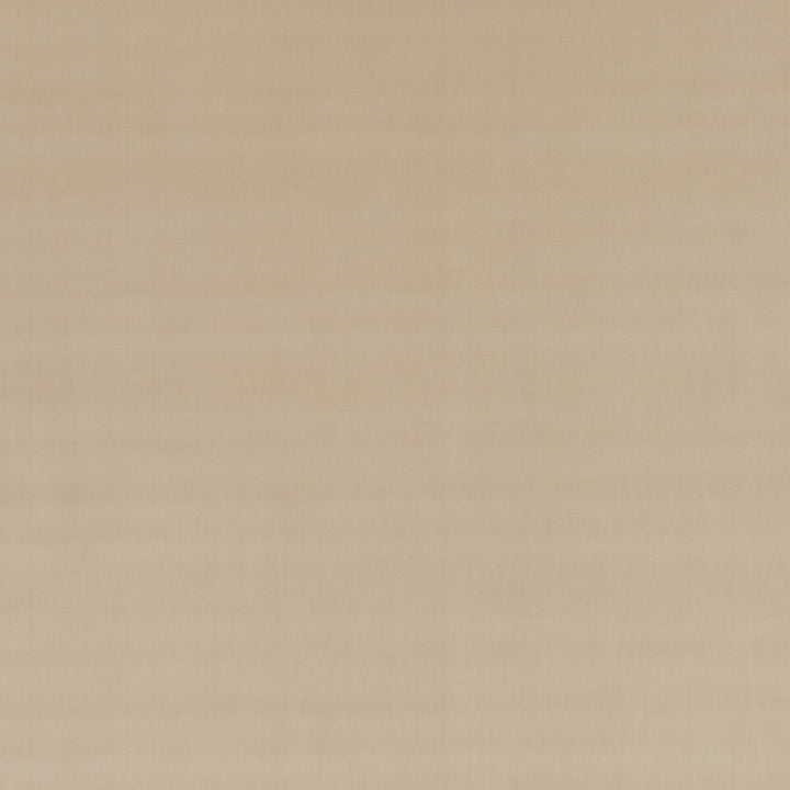 Montpellier Velvet Sand by Baker Lifestyle Designer Fabric CARNIVAL POLYESTER - 100% China HEAVY Horizontal: and Vertical: 53.978 - Swanky Fabrics -