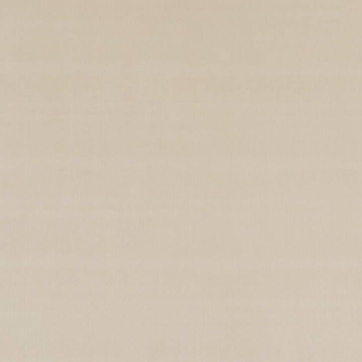 Montpellier Velvet Oatmeal by Baker Lifestyle Designer Fabric CARNIVAL POLYESTER - 100% China HEAVY Horizontal: - and Vertical: - 55.16 - Swanky Fabrics -