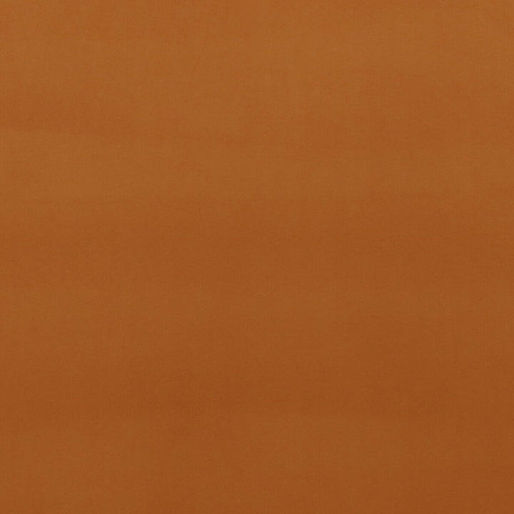 Montpellier Velvet Spice by Baker Lifestyle Designer Fabric CARNIVAL POLYESTER - 100% China HEAVY Horizontal: and Vertical: 55.16 - Swanky Fabrics -
