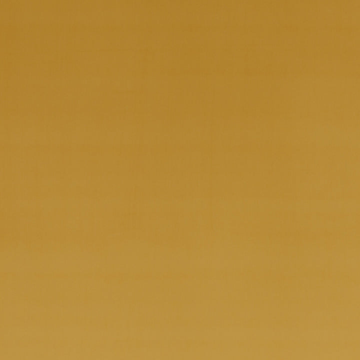 Montpellier Velvet Sienna by Baker Lifestyle Fabric Baker Lifestyle Fabric Montpellier Velvet SiennaFabric CARNIVAL POLYESTER - 100% China </p><p>Repeat: H: , V: 55.16 - Fabric Carolina -