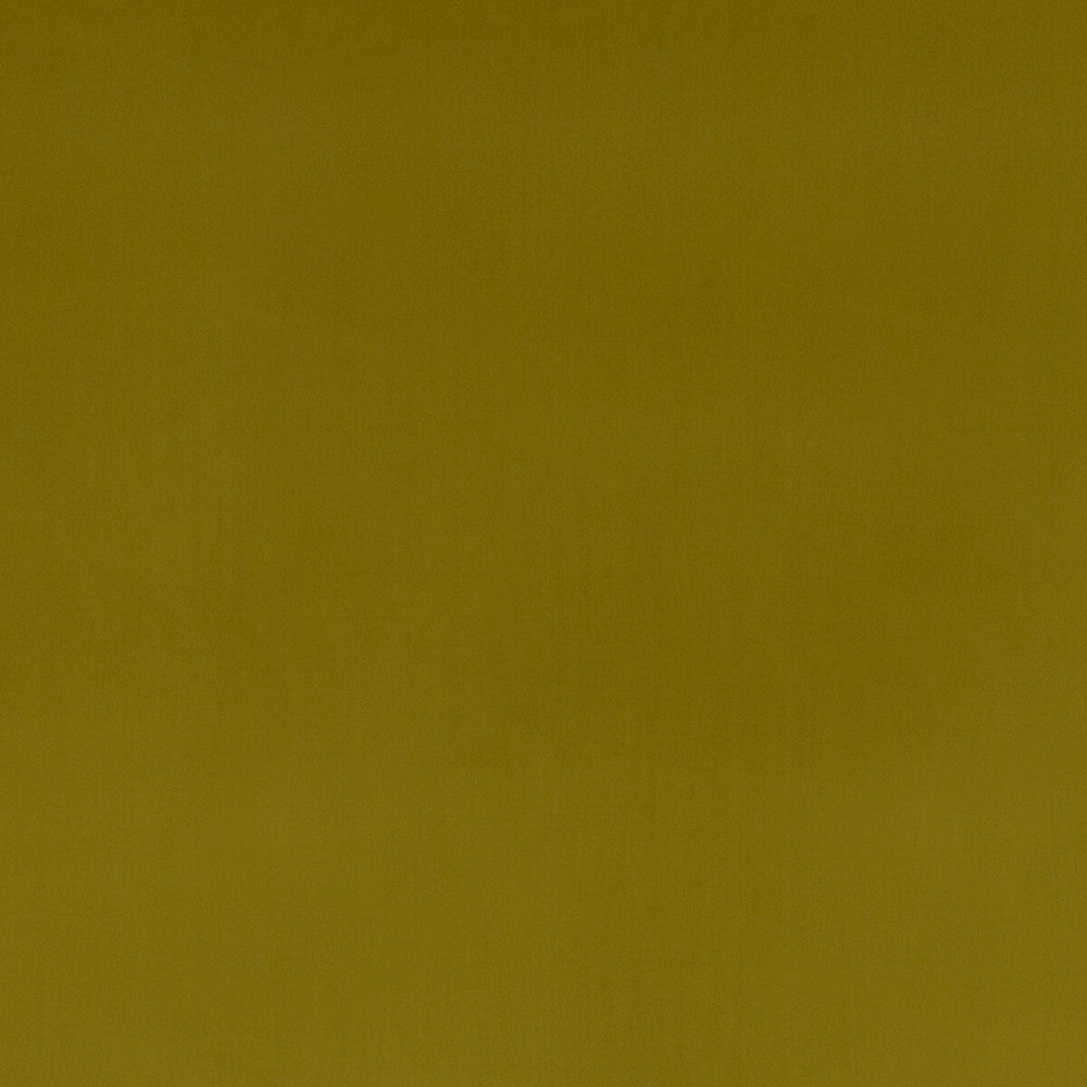 Montpellier Velvet Moss by Baker Lifestyle Designer Fabric CARNIVAL POLYESTER - 100% China HEAVY Horizontal: and Vertical: 55.16 - Swanky Fabrics -
