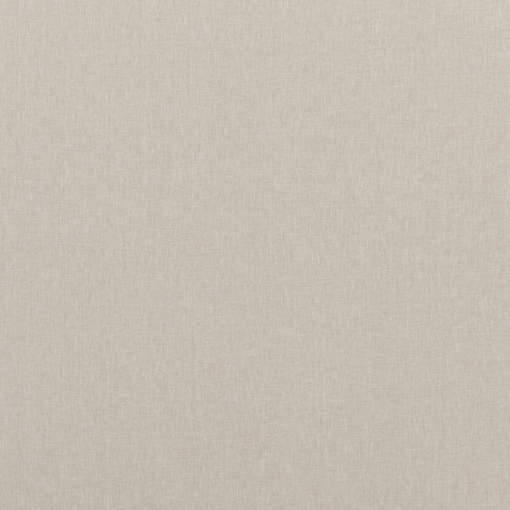 Carnival Plain Pumice by Baker Lifestyle Designer Fabric CARNIVAL POLYESTER - 54%;COTTON - 46% India HEAVY Horizontal: and Vertical: 55.16 - Swanky Fabrics -