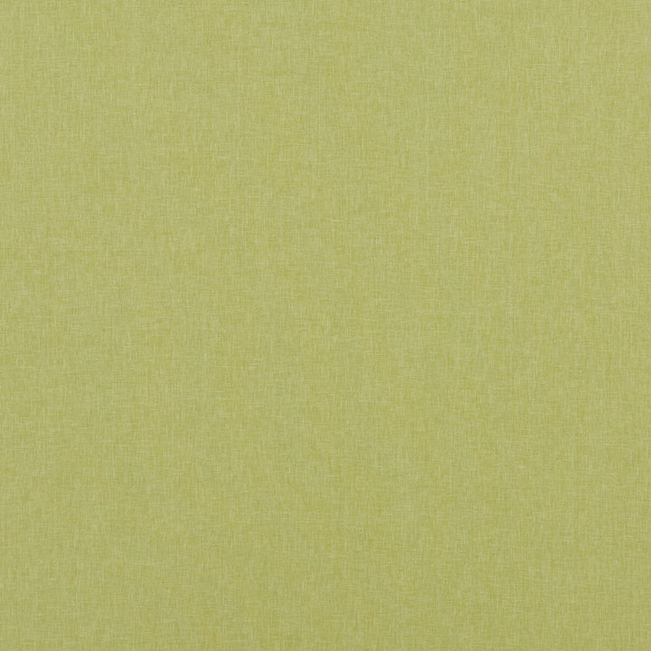 Carnival Plain Lime by Baker Lifestyle Designer Fabric CARNIVAL POLYESTER - 54%;COTTON - 46% India HEAVY Horizontal: and Vertical: 55.16 - Swanky Fabrics -