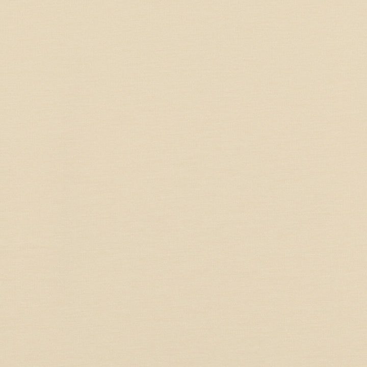 Pavilion Vanilla by Baker Lifestyle Designer Fabric PAVILION - BLEGRAVE NOTEBOOK COTTON - 65%;POLYESTER - 35% Turkey Horizontal: and Vertical: 58.04408 - Swanky Fabrics -