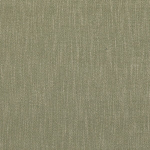 Garden Path Green by Baker Lifestyle Designer Fabric