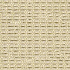 Phifertex Solid 3006891 Grey Sand X00 by Phifertex Designer Fabric