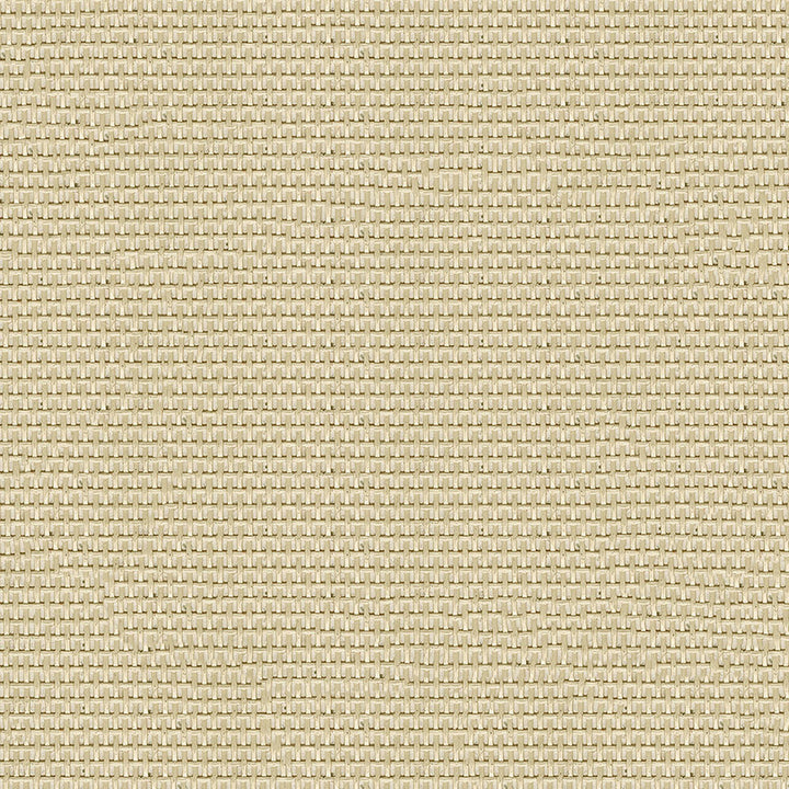 Phifertex Solid 3006891 Grey Sand X00 by Phifertex Designer Fabric N/A 100% Polyvinyl Chloride (PVC) US </p><p>Repeat: Horizontal: and Vertical: 54" (137 cm) - Swanky Fabrics -