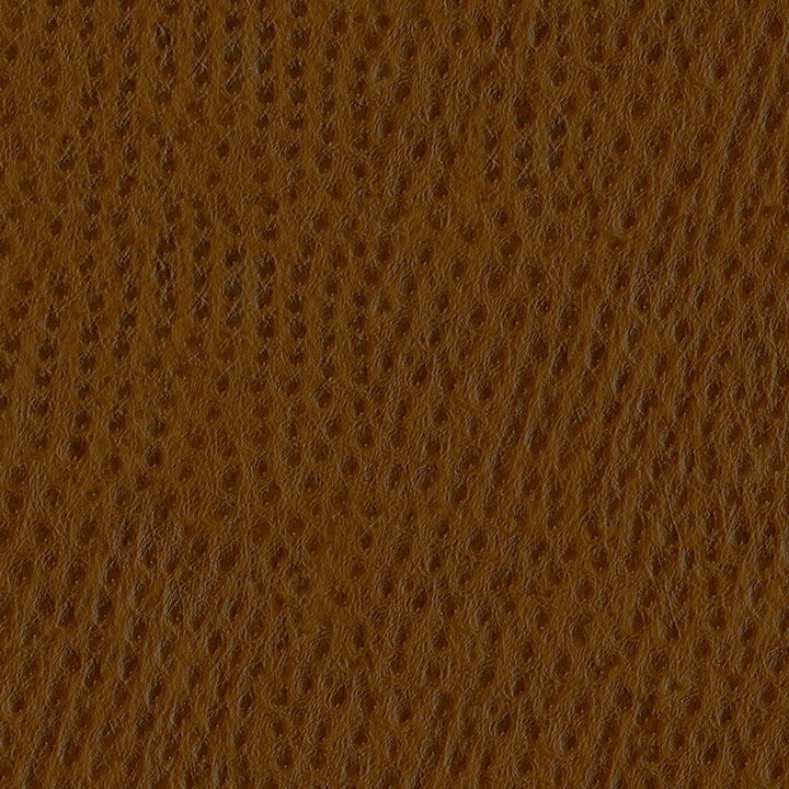 Phoenix 010 Outback by ABBEYSHEA Designer Fabric N/A 100% Polyurethane (PU) China 500,000 Double Rubs </p><p>Repeat: Horizontal: and Vertical: 54" (137 cm) - Swanky Fabrics -