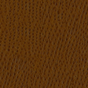 Phoenix 010 Outback by ABBEYSHEA Designer Fabric