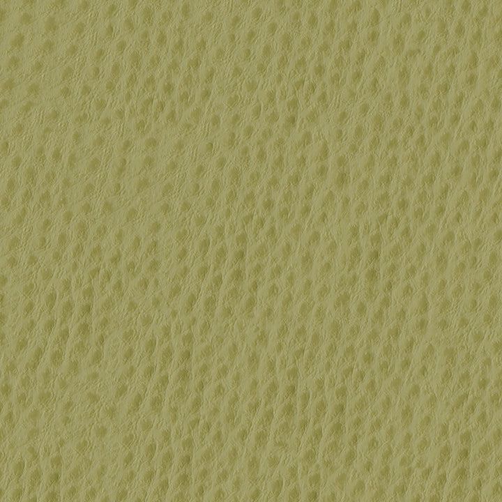 Phoenix 013 Willow by ABBEYSHEA Designer Fabric 100% Polyvinyl Chloride (PVC) US 250,000 Double Rubs (Wyzenbeek) </p><p>Repeat: Horizontal: and Vertical: 54" (137 cm) - Swanky Fabrics -