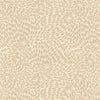 Pickwick 1 Toast by Marcus William Designer Fabric
