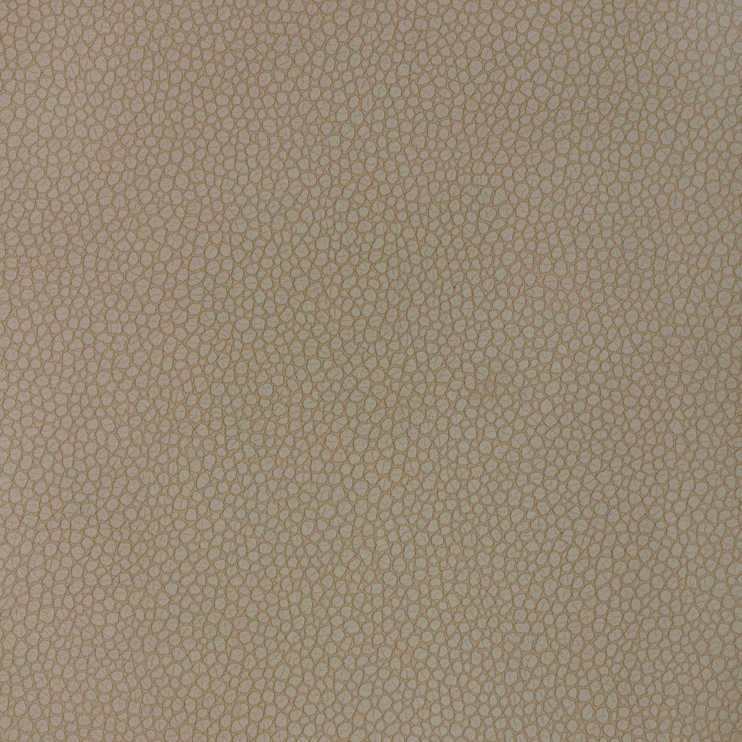 Calista Wc - Pearl GWP-3763.1111.0 by Lee Jofa Designer Wallcovering