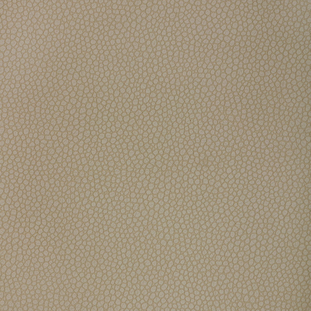 Kravet Design - Pietra-121 PIETRA.121.0 by Kravet Design Designer Fabric