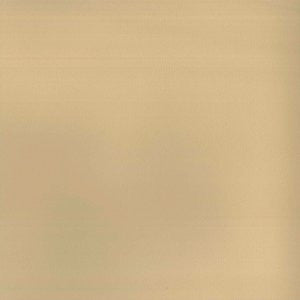 Pinto Camel 14 by Norbar Designer Fabric