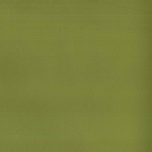 Pinto Lime 39 by Norbar Designer Fabric
