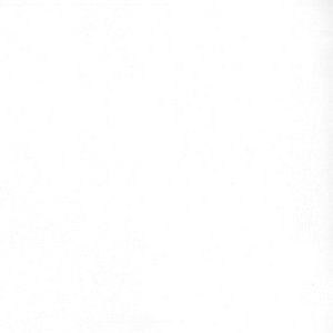Pinto Snow 06 by Norbar Designer Fabric