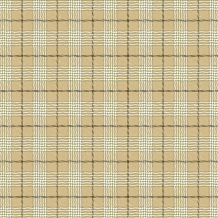 Pipestone 2 Flax by Stout Designer Fabric Rainbow Library Driftwood/Hemp 100% Cotton INDIA WYZENBEEK 30 000 DOUBLE RUB WEAR TEST (HEAVY DUTY) Horizontal: 4.625 and Vertical: 4.625 54 in - Swanky Fabrics -