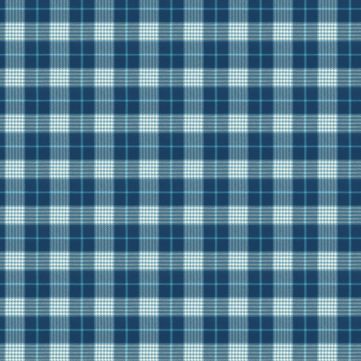 Pipestone 3 Blueberry by Stout Designer Fabric RAINBOW LIBRARY PORCELAIN/ROYAL 100%COT INDIA WYZENBEEK 30 000 DOUBLE RUB WEAR TEST (HEAVY DUTY) Horizontal: 4.625 and Vertical: 4.625 54 in - Swanky Fabrics -
