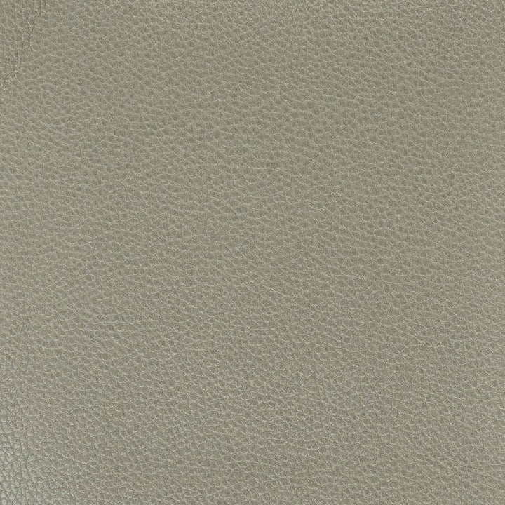 Pitcher 1 Graphite by Stout Designer Fabric LEATHER LOOKS IV 100%POL CHINA PERFORMANCE RATED FABRIC FLAME RETARDANT-U.F.A.C. CLASS 1 FLAME RETARDANT-N.F.P.A. 260A CLASS 1 CATB 117-2013 WYZENBEEK 100 000 DOUBLE RUB WEAR TEST (HEAVY DUTY) Horizontal: 0 and Vertical: 0 54 in - Swanky Fabrics -