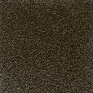 Pitcher 3 Onyx by Stout Designer Fabric