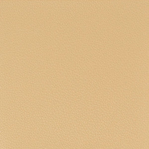 Pitcher 6 Camel by Stout Designer Fabric