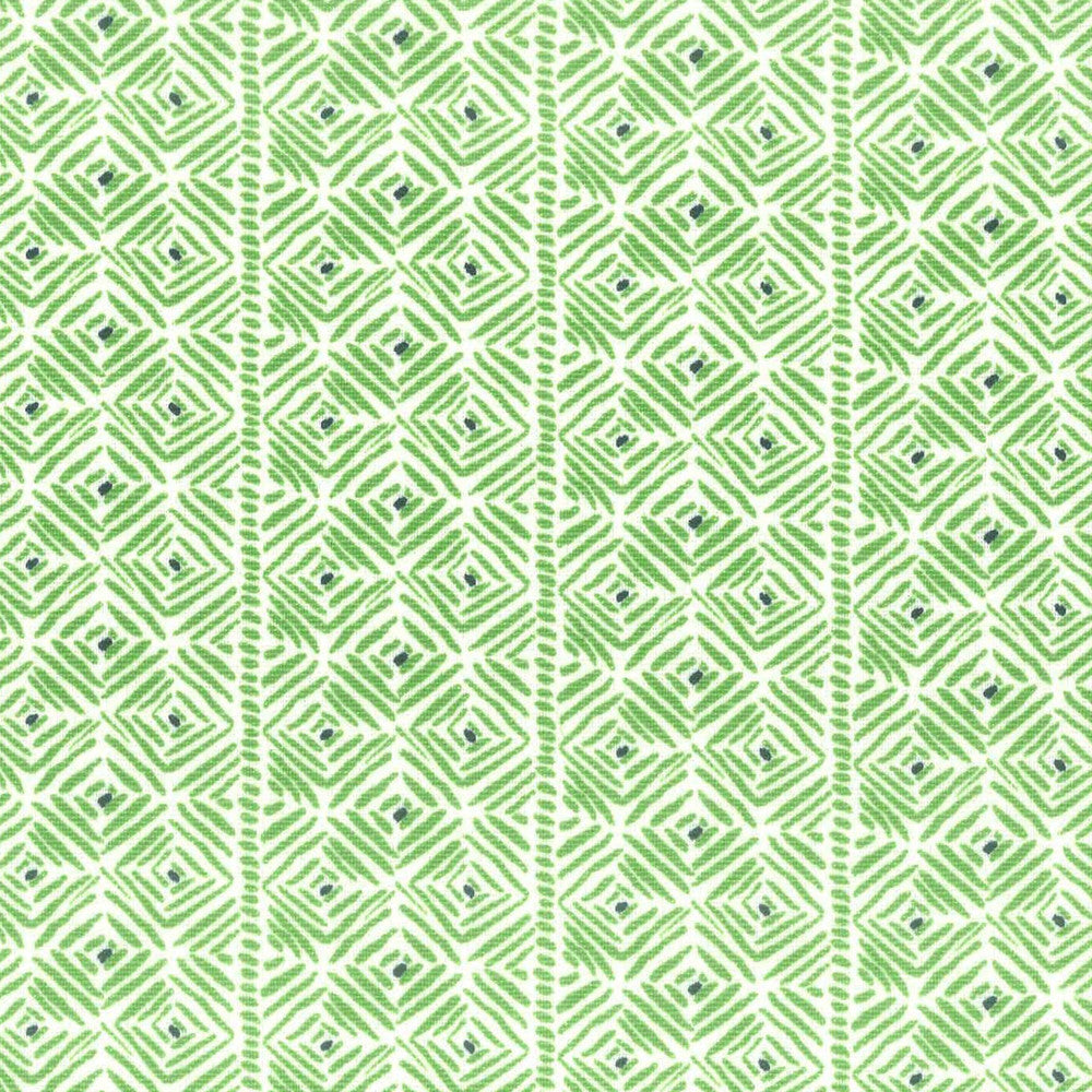 Pixie 2 Fern by Aoc Fabric Aoc Fabric Pixie 2 FernFabric LA BELLA VITA 55%LIN 45%COT USA </p><p>Repeat: H: 2.500, V: 1.250 54 in - Fabric Carolina -