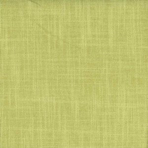 Planet Parrot by Norbar Designer Fabric