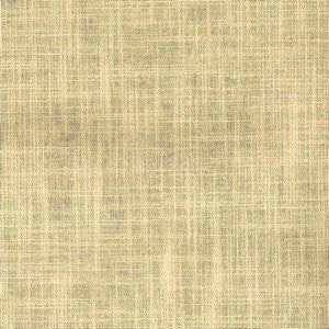 Planet Sand Dollar by Norbar Designer Fabric