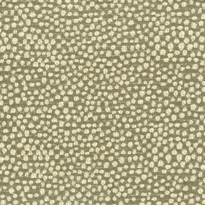Polka 1 Grey by Stout Designer Fabric COMFORTABLE LIVING SHADOW/CHARCOAL 49%SVI 39%POL 12%COT CHINA FLAME RETARDANT-U.F.A.C. CLASS 1 CATB 117-2013 WYZENBEEK 36 000 DOUBLE RUB WEAR TEST (HEAVY DUTY) </p><p>Repeat: 0 55 in - Swanky Fabrics -