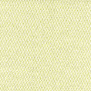 Pomona Fern by Norbar Designer Fabric SOLEIL 100% SOLUTION DYED POLYESTER CHINA 54 - Swanky Fabrics -