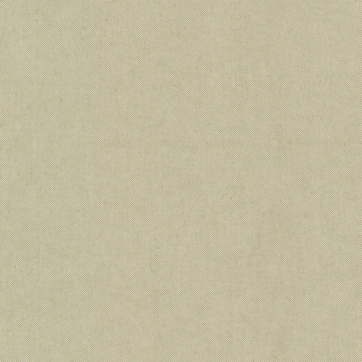 Ponder 2 Celery by Stout Designer Fabric RAINBOW LIBRARY SAGE/CYPRESS 88%COT 12%POL USA CATB 117-2013 WYZENBEEK 125 000 DOUBLE RUB WEAR TEST (HEAVY DUTY) Horizontal: 0.000 and Vertical: 0.000 54 in - Swanky Fabrics -