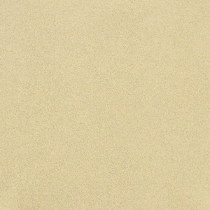 Pony Express # 011 Parchment by Maxwell Designer Fabric 100% POLYURETHANE CHINA 54" - Swanky Fabrics -