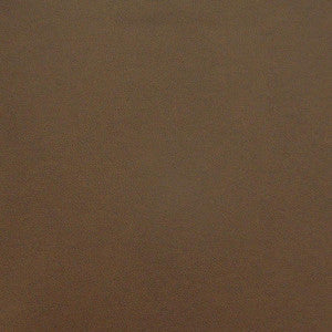 Pony Express # 2005 Earth by Maxwell Designer Fabric