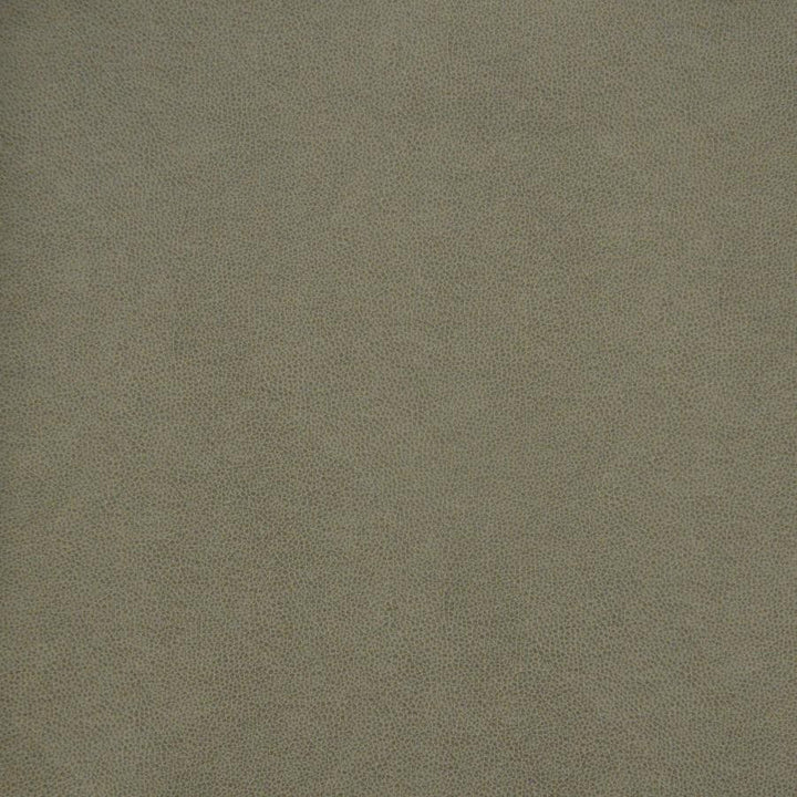 Pony Express # 5007 Flintstone by Maxwell Designer Fabric 100% POLYURETHANE CHINA 54" - Swanky Fabrics -