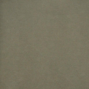 Pony Express # 5007 Flintstone by Maxwell Designer Fabric