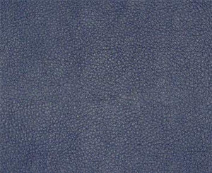 Persuasion # 006 Blueberry by Maxwell Designer Fabric