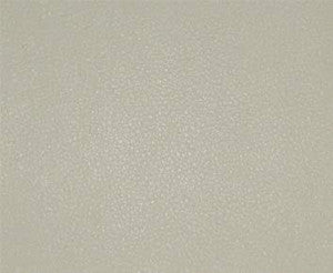 Persuasion # 009 Chiffon by Maxwell Designer Fabric