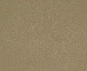 Persuasion # 022 Sand by Maxwell Designer Fabric