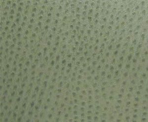 Phoenix(Contract Vinyl) # 006 Drizzle by Maxwell Designer Fabric