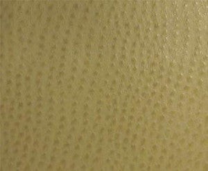Phoenix(Contract Vinyl) # 013 Willow by Maxwell Designer Fabric